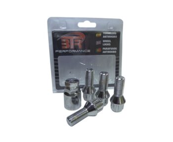 Tornillos antirrobo