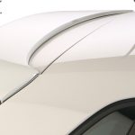 Alerón RDX Racedesign para VW Polo 6R y 6C
