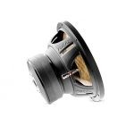 Subwoofer de 10" Focal Flax EVO P25 FE